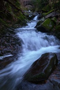 Tillicoultry Glen